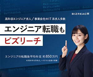 ビズリーチ IT